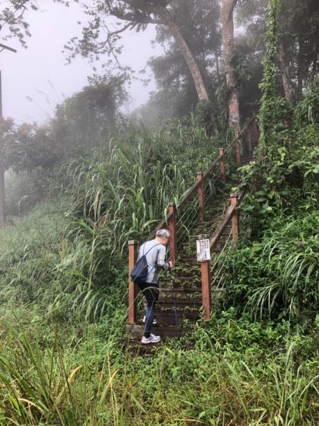 龍美景觀步道順訪山羊古道未竟之行412265