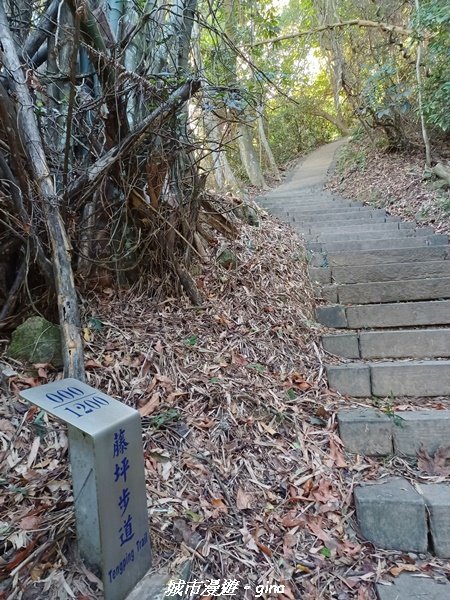 【新竹峨嵋】古樸風情。 獅頭山步道群O型2397079