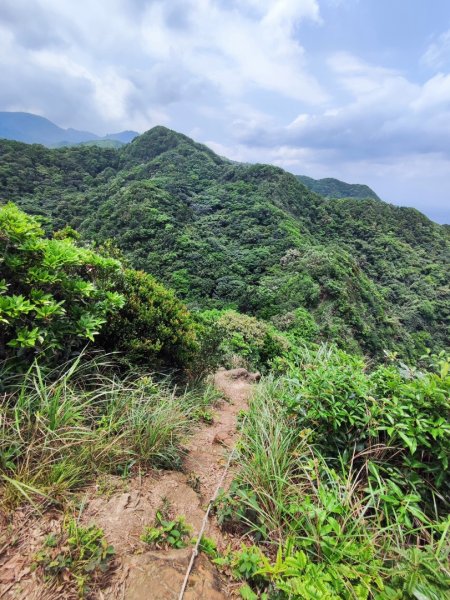 南雅山-門牙岩-鐵達尼岩-海園古道-鼻頭角3040494