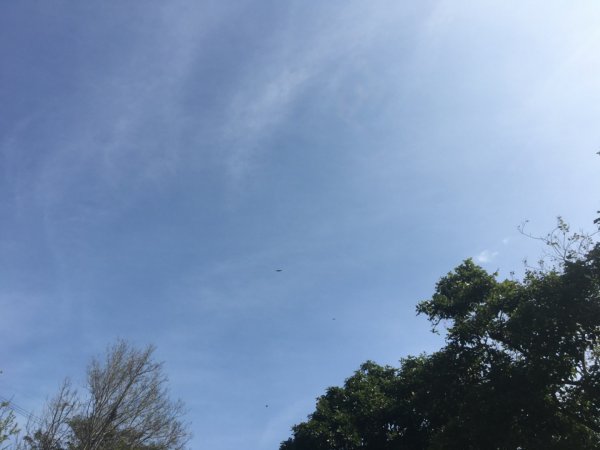 水牛城、百年土地公2036479