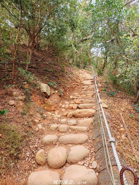 【苗栗。 三義】台灣百大必訪步道。 編號38小百岳-火炎山步道1572247
