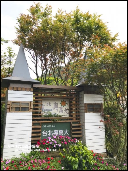 台北奧萬大樂活莊園。春天的楓好紅934421