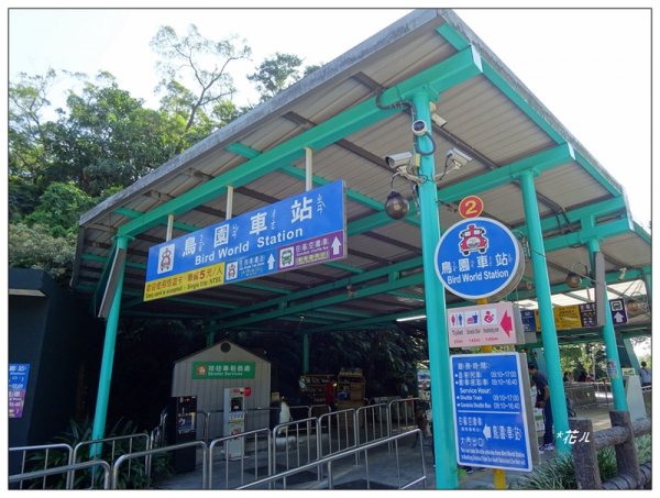 台北市動物園之旅1498038