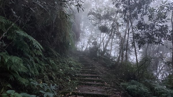 水社大山水社主峰新年二部曲1598798