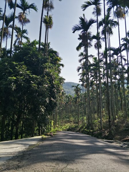 2019 09 03 關仔嶺大凍山步道670374