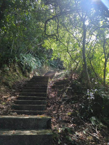 2025.10.10－微笑山線：【二格山系】皇帝殿稜線2919506