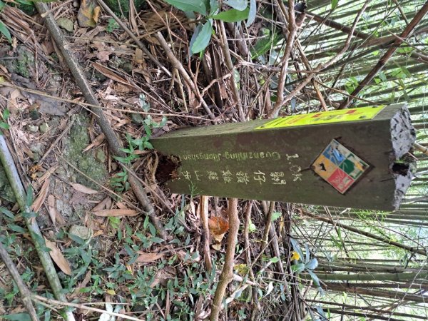 台南關子嶺枕頭山，大凍山，雞籠山步道3123325
