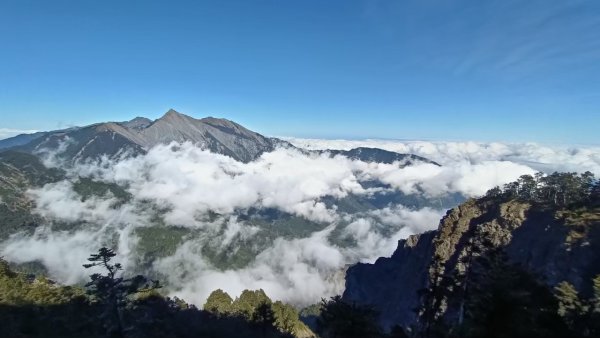 北二段之 甘薯無明2611905