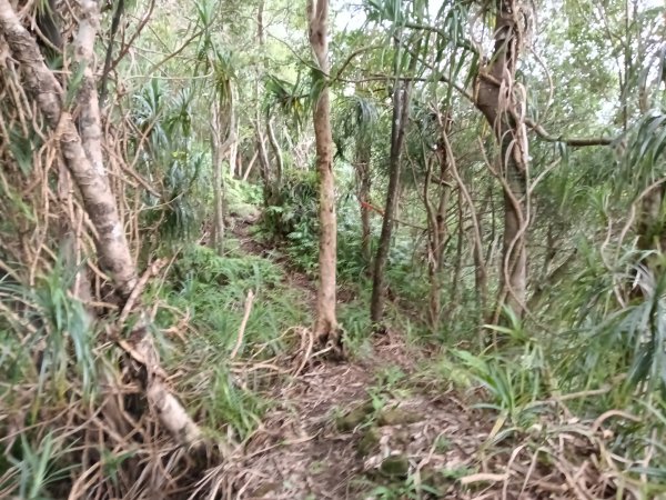 平溪區平溪子山遇雷雨O型2850150