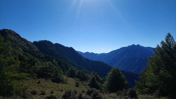 郡大山 北峰 望鄉山487454