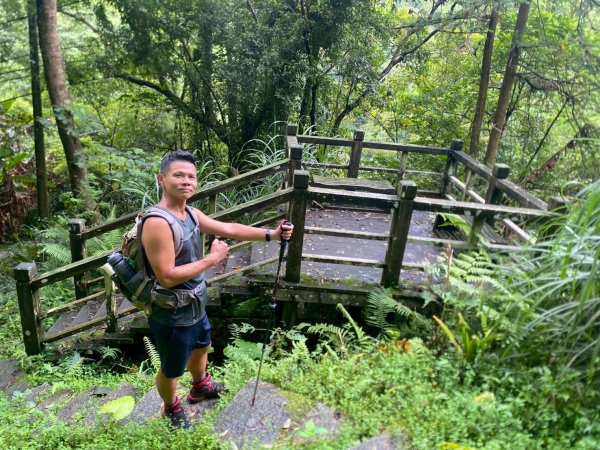 新竹橫山.大崎棟古道.騎龍古道【二個古道走向二個截然不同的方向】2868752