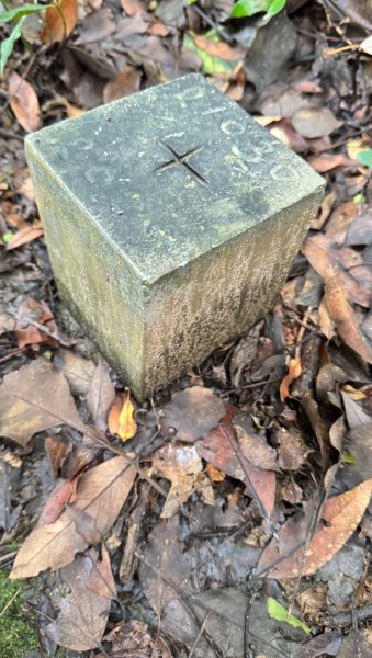 桃園五酒桶步道走南崁山-五酒桶山-山鼻山-獅仔頭山2848121