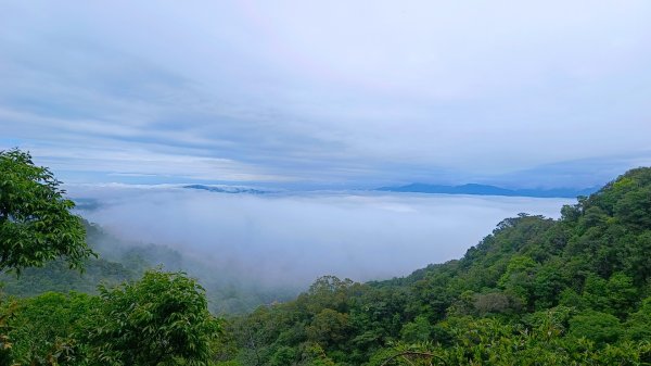 大坑頭嵙山出大景（山嵐海）2144653