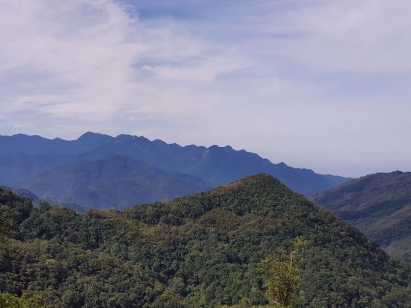 東眼山森林遊樂區178105