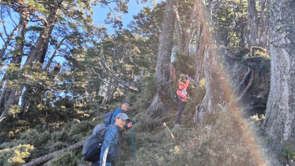 東埔上郡大山下對關山龍貓公車 2024年12月1日2659490