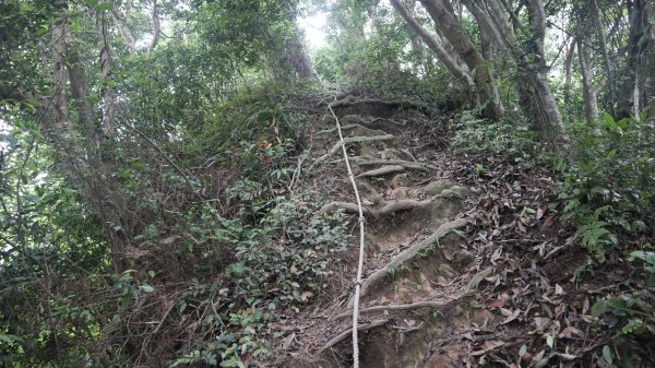 雙石縱走登山健行趣(小百岳24號&25號)2169499