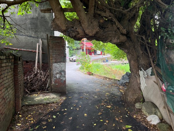 霄裡好好玩2804929