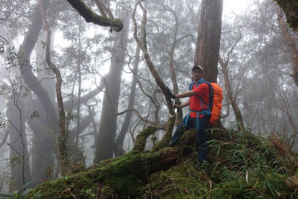 塔曼山，玫瑰西魔山 106.5.7(日)128766