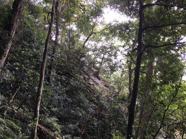 20161119_谷關七雄之四-波津加山873771