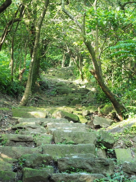 健行日 - 大粗坑古道、小粗坑古道83440