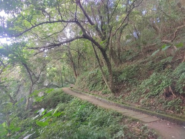 1130707青山瀑布步道3098010