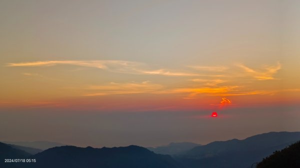 雲山水花鳥蝶 - 天龍國阿伯的日常7/18 & 21、22、292553979