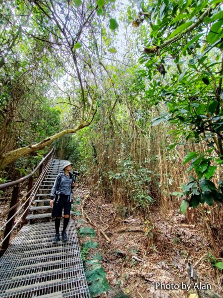 高雄柴山秘境 泰國谷 一簾幽夢878902