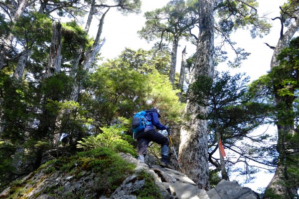 百岳單攻 | 遺世獨立‧白姑大山1369850