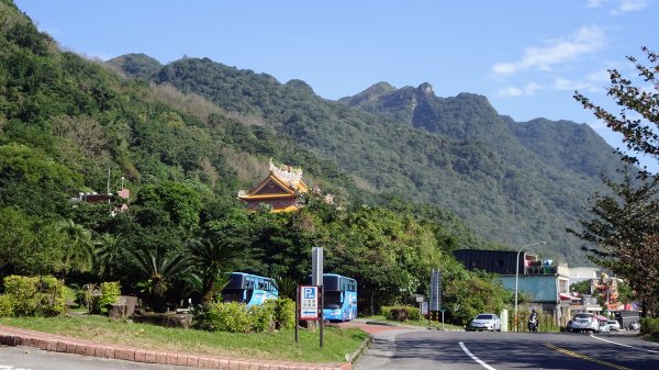 灣坑頭山，大里上大溪下1993679