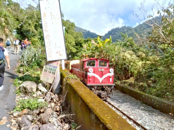 獨立山國家步道769213