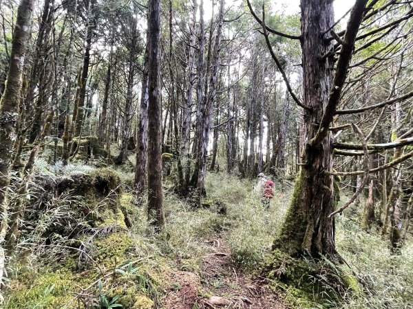 魔幻森林三星山與三星池1658339