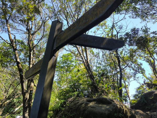 20251004微笑山線：【二格山系】筆架連峰段2904526