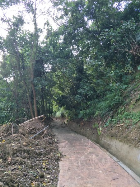 挑物古道(挑夫古道1490869