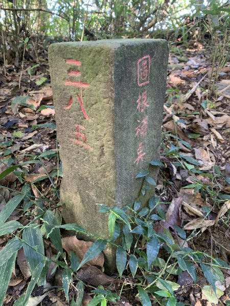 20251004高雄尾寮山-西北峰2907826