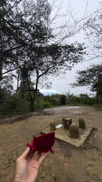 太、清、石2994652