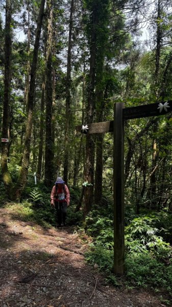 石龜山、叢雲山O走2592635