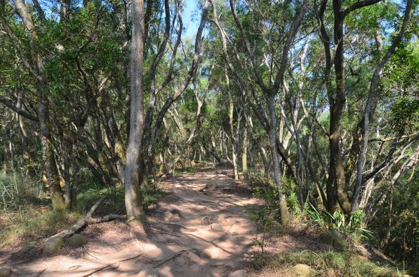 火炎山 - 南鞍古道1117187