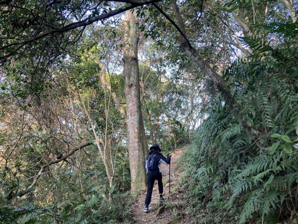 石門山登山步道2396654