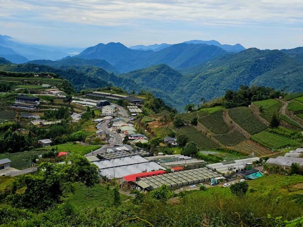 二延平步道&茶霧之道2636692