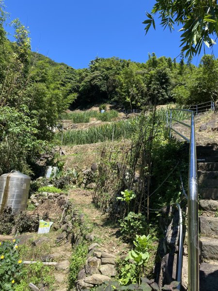 《探訪內雙溪三圳流向｜大崎頭步道 × 鵝尾山》2877188