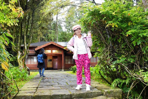 20221018公車旅人阿里山手扎:1141904