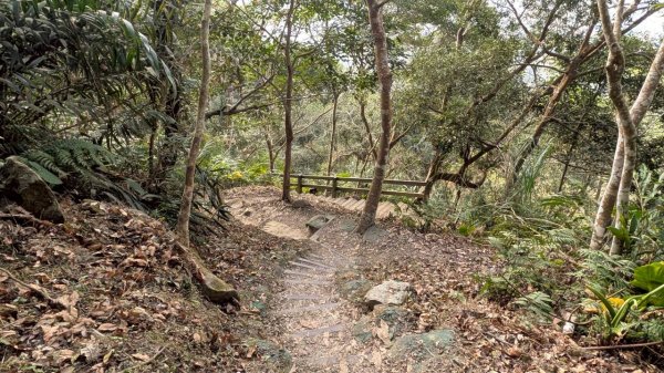 竹仔尖山步道3002514