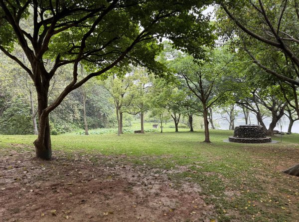 [樟之細路_第一大段RSA01] 2026_0329 三坑自然生態公園3026779