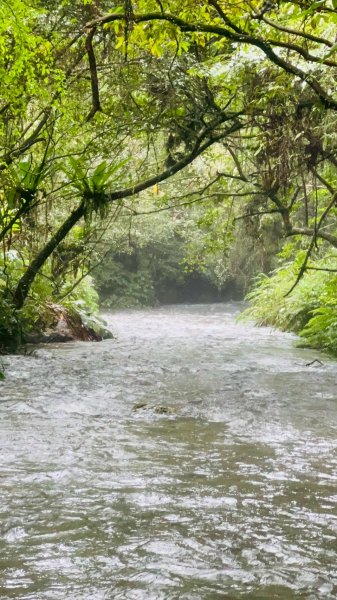 🌈7/20(日)梗枋古道接坪溪古道下石空古道✨FB：熊熊趴爬走🌈2842250