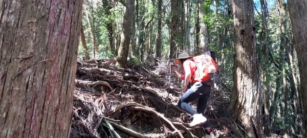 水漾森林、鹿屈山、眠月神木2729635