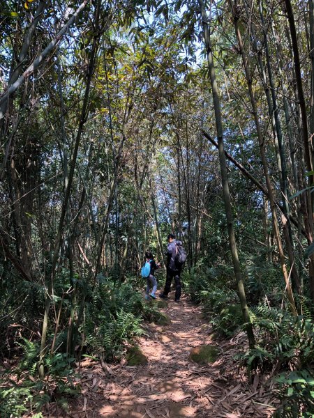 20210313小百岳溪洲山2209832