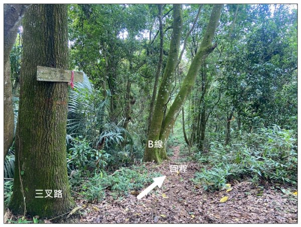 大克山 南稜線A上B下 (卓蘭最高峰)2825494