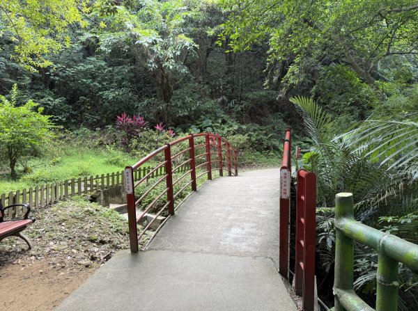 [微笑山線_第二段] 2026_0725 大棟山系_百年大榕樹3101581