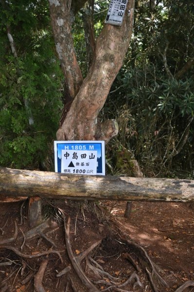 中級山-高島縱走2888364