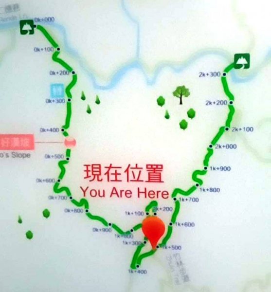 20221229 阿罩霧山 中心瓏步道 玉蘭谷 櫻花步道 大O型1975663
